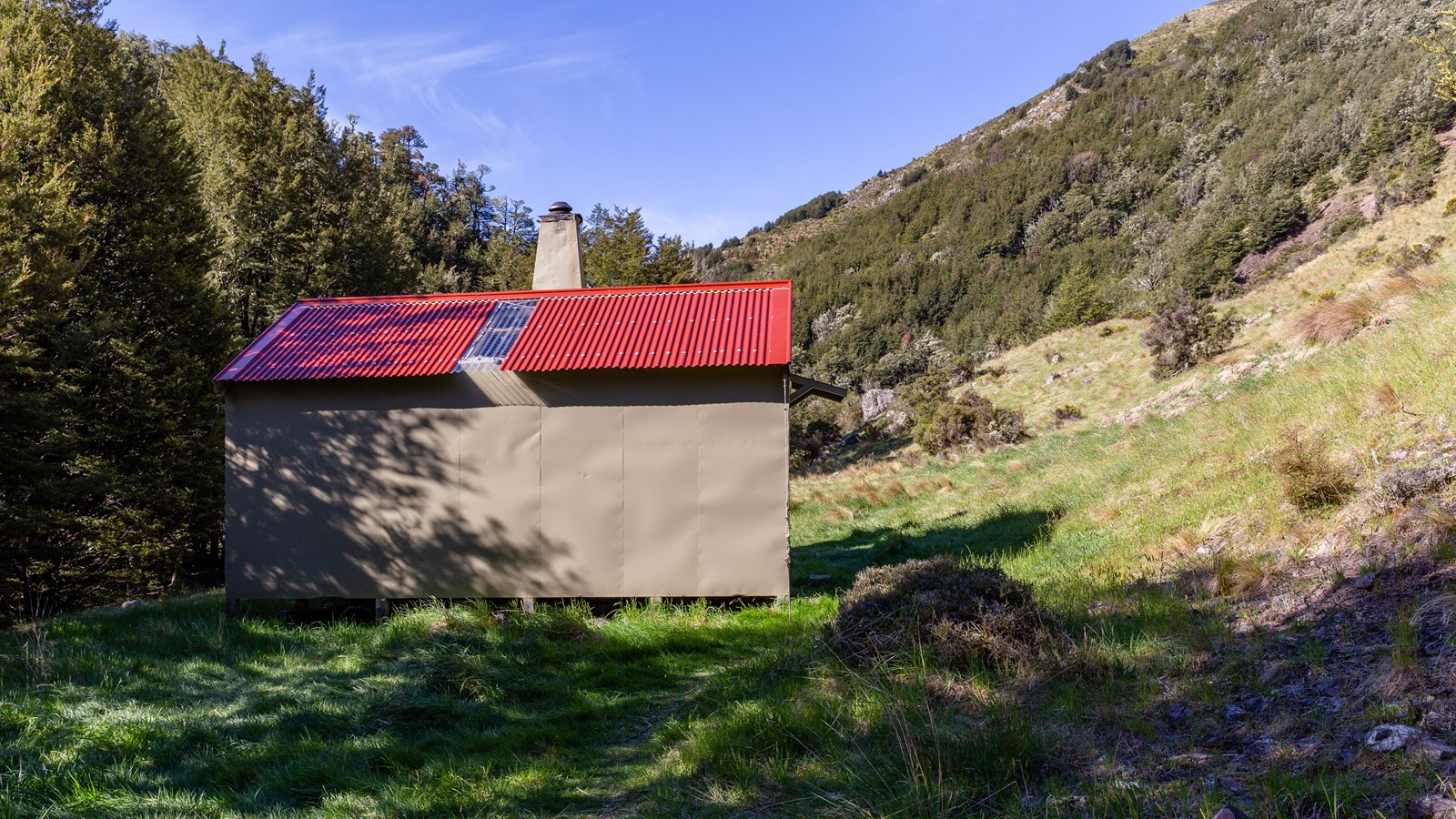 Small hut with a red roof standing in a sunlit forest clearing