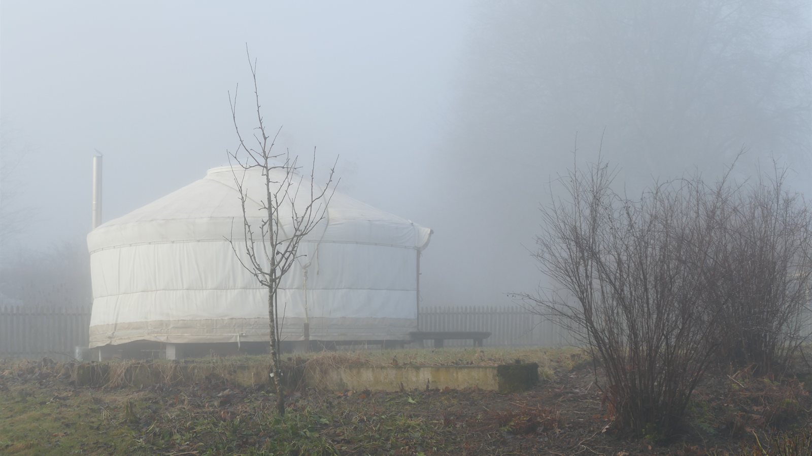 Canvas yurt standing in morning fog at the edge of a meadow